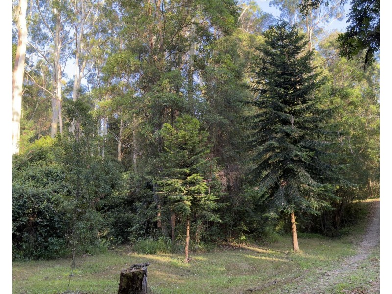 996 Firth Heinz Road, Pillar Valley NSW 2462