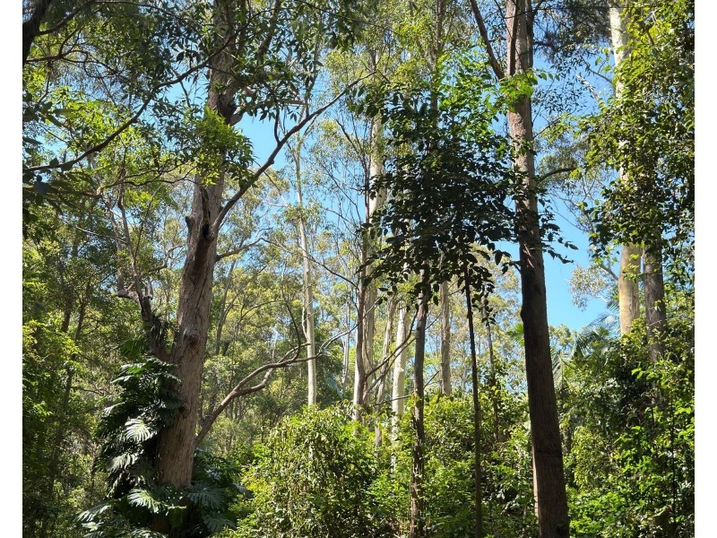 996 Firth Heinz Road, Pillar Valley NSW 2462