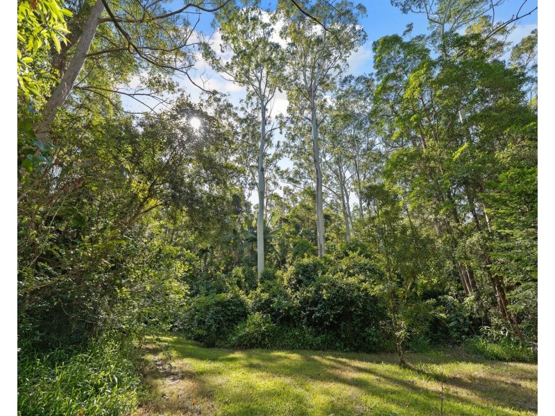 996 Firth Heinz Road, Pillar Valley NSW 2462