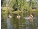 129 Firth Heinz Road, Pillar Valley NSW 2462