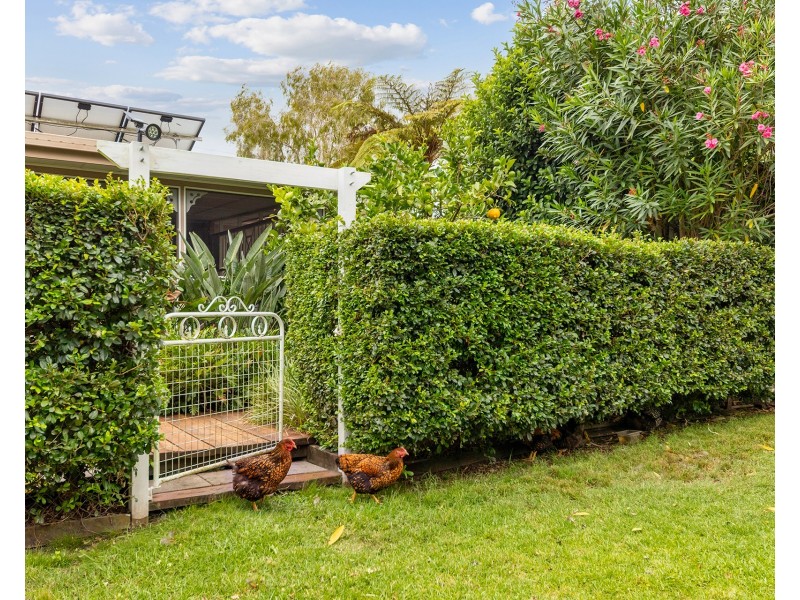 31 Coldstream Street, Ulmarra NSW 2462