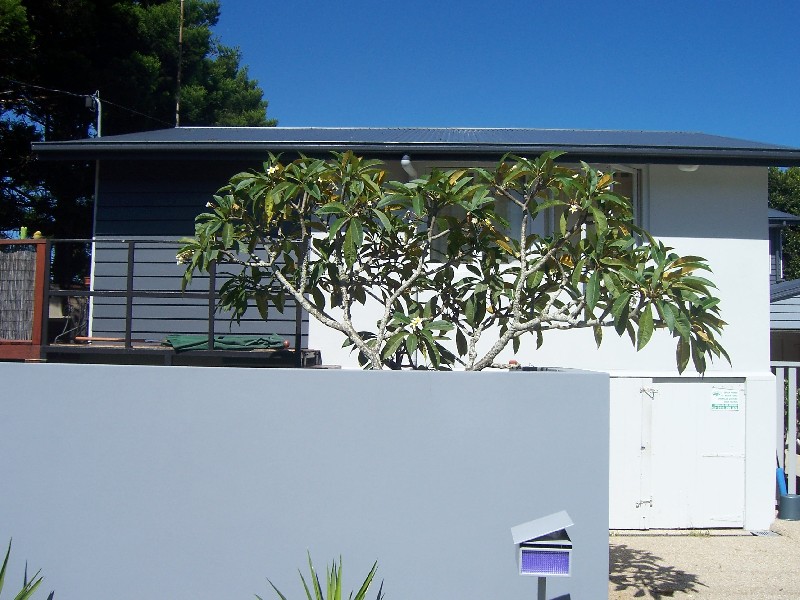 Coolangatta QLD 4225