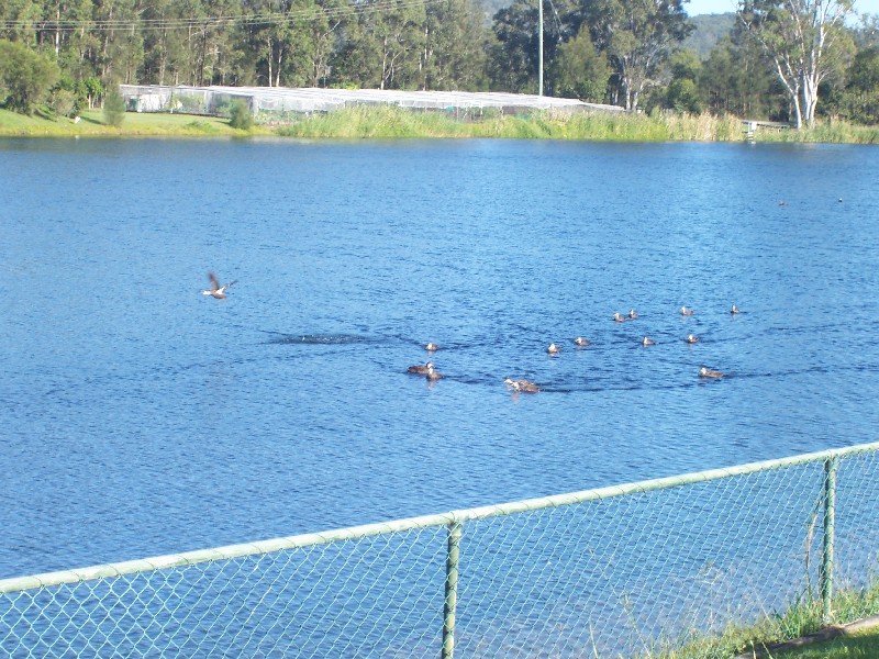 Tweed Heads West NSW 2485