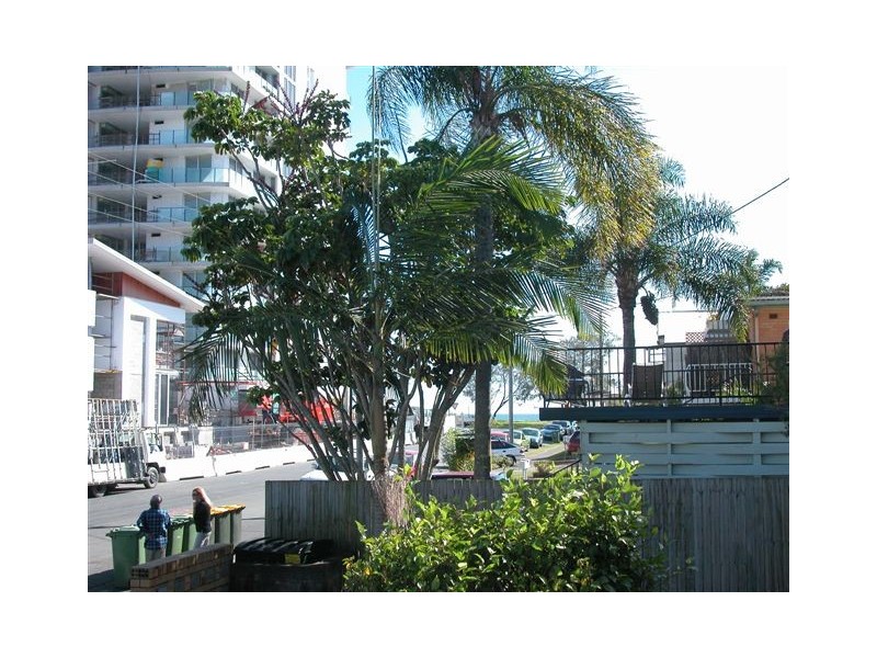 1/6 Haig Street, Kirra QLD 4225