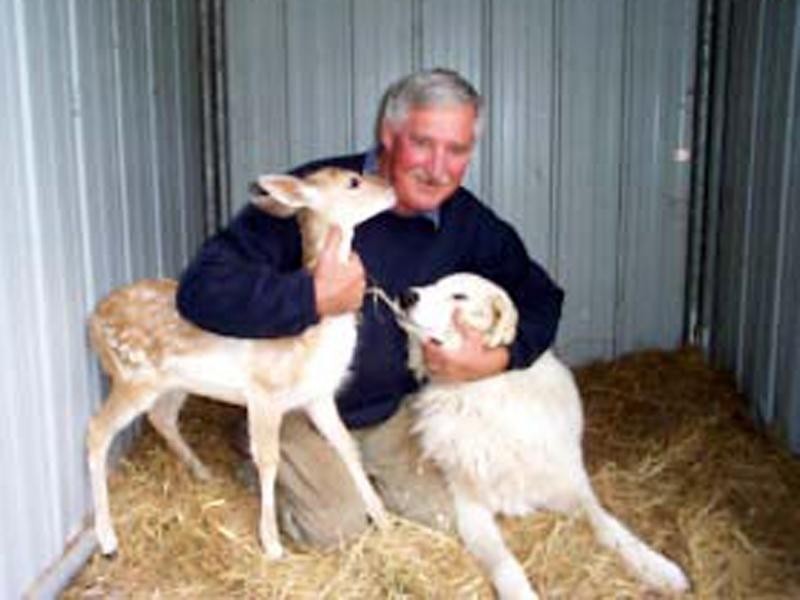 2223 Melba Highway, Dixons Creek, Yarra Glen VIC 3775