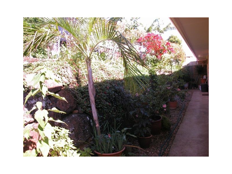 1/18 Satinash Drive, Banora Point NSW 2486