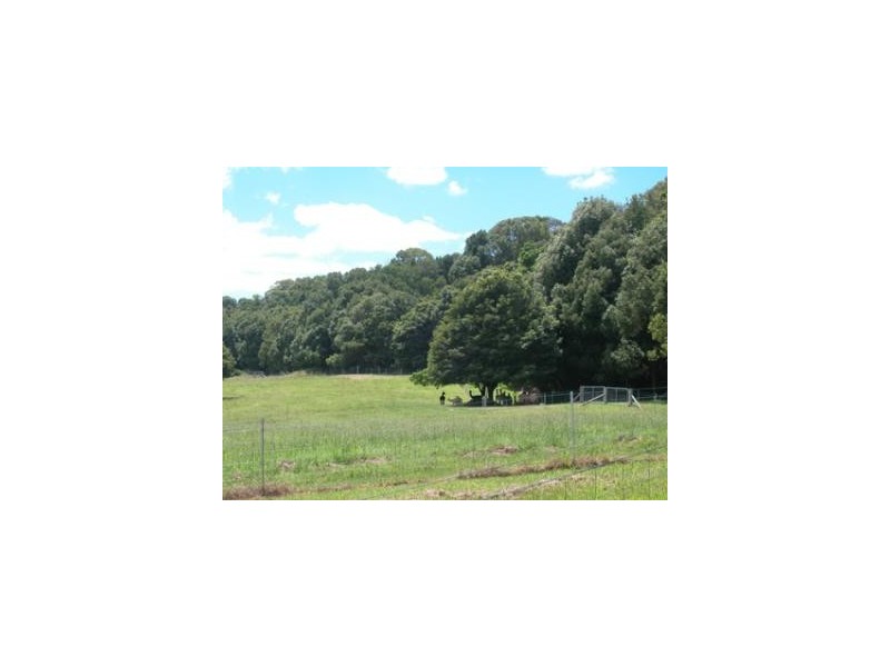 Bilambil NSW 2486
