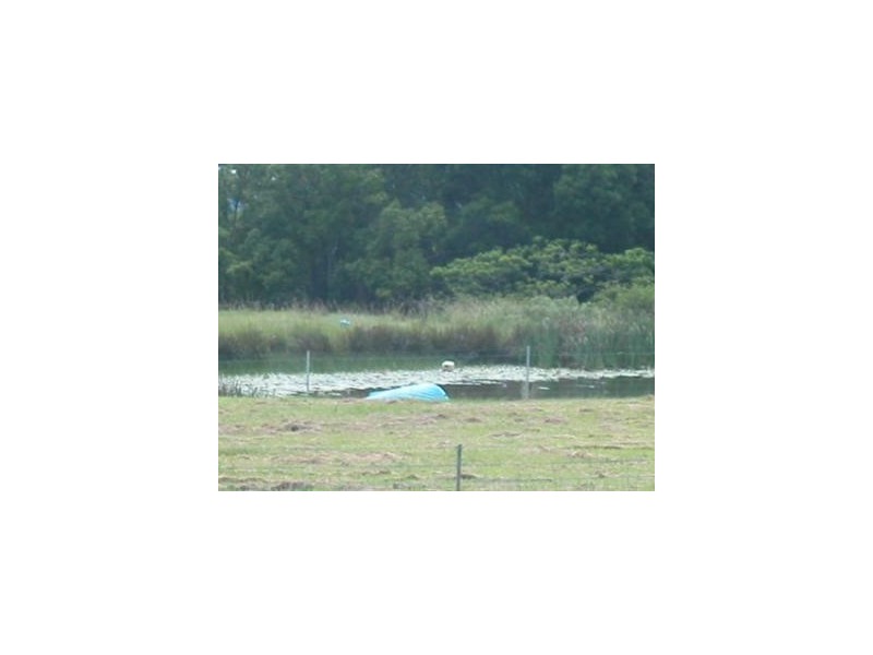 Bilambil NSW 2486