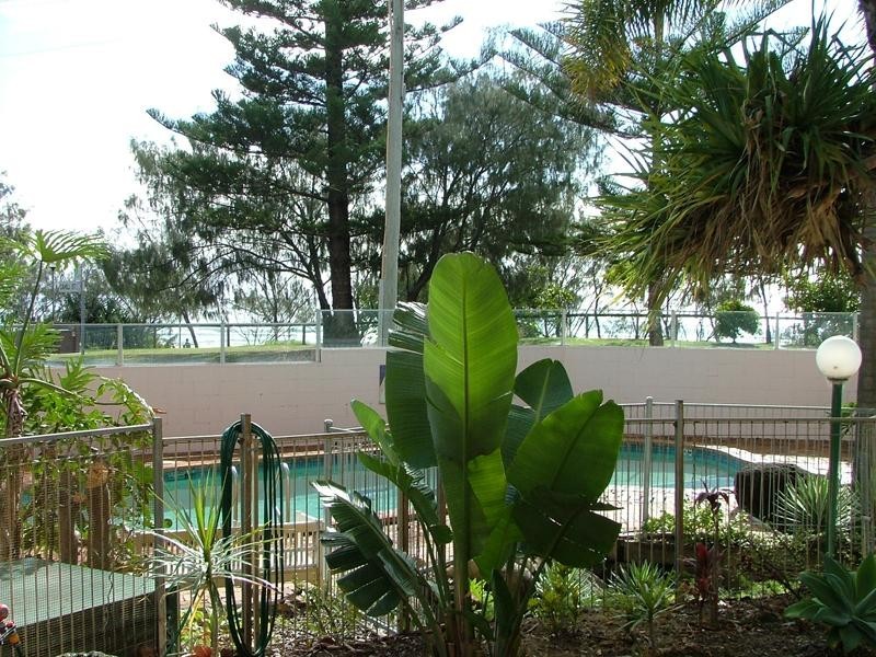 Unit 1 Porta Pacifique, 134 Pacific Parade, Bilinga QLD 4225