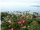Kirra QLD 4225