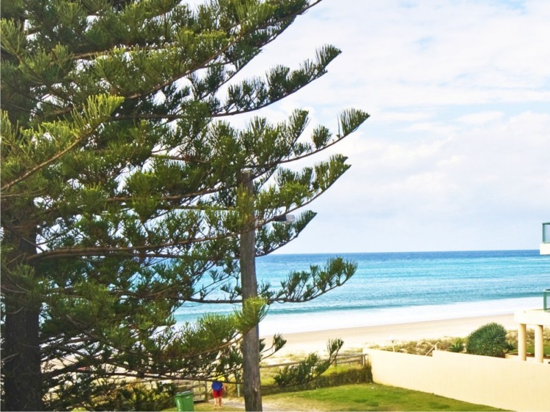 55 Jefferson Lane, Palm Beach QLD 4221