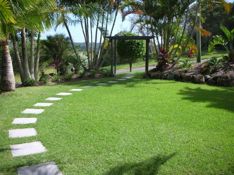 7 Dalwood Court, Tallebudgera QLD 4228