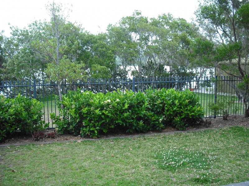 2/83 Gollan Drive, Tweed Heads West NSW 2485