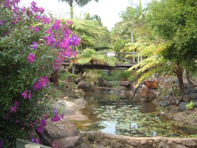 Tweed Heads NSW 2485