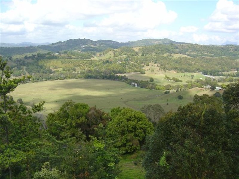 4 Owenia Court, Bilambil Heights NSW 2486