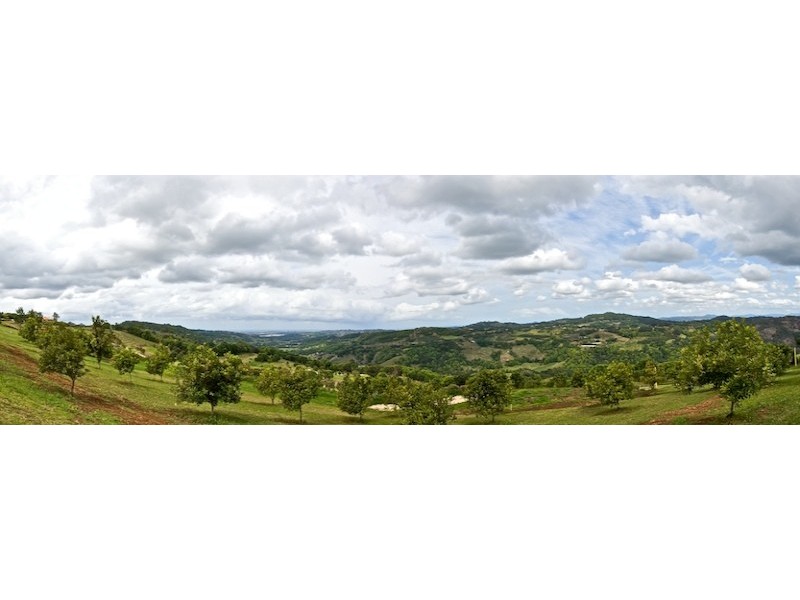 Coolangatta QLD 4225