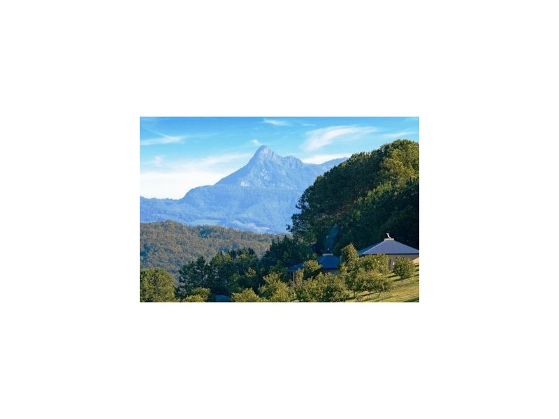 Bilambil Heights NSW 2486