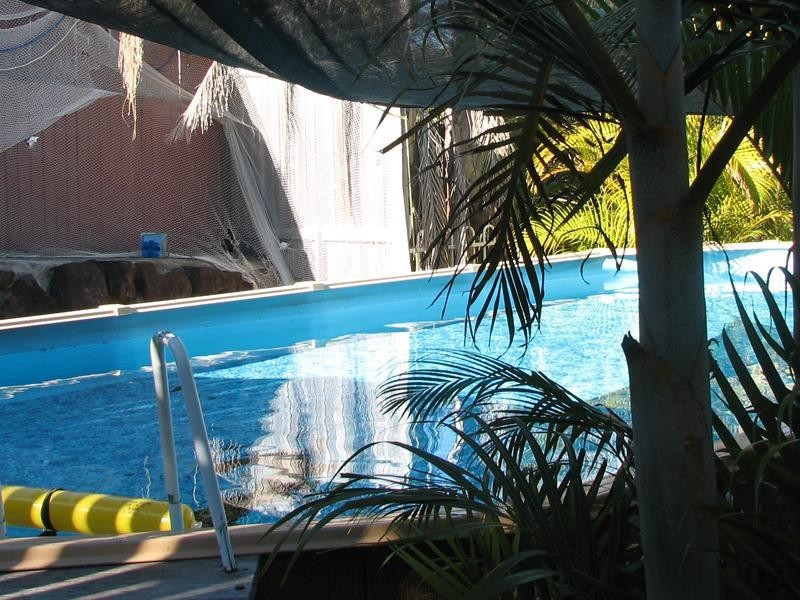 Merino Place, Terranora NSW 2486