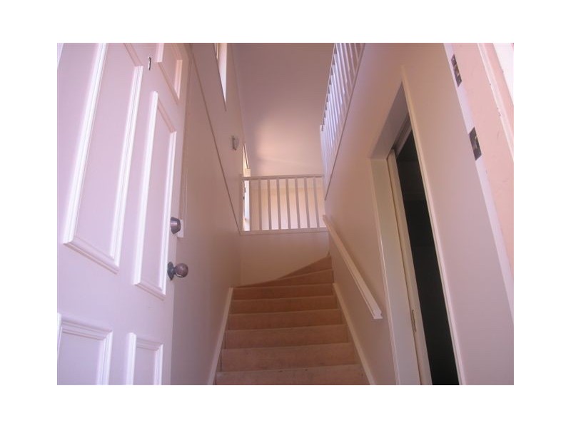 1/2  Shamrock Avenue, Banora Point NSW 2486