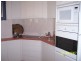 3/123-127 Musgrave Street, Coolangatta QLD 4225