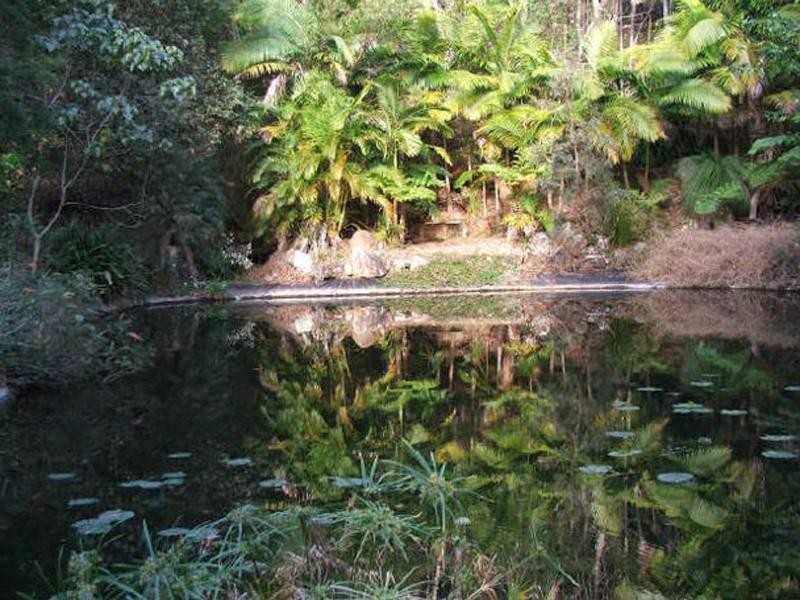 6916 Tweed Valley Way, Stokers Siding NSW 2484