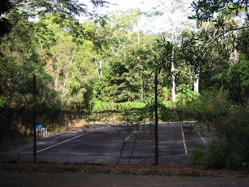 6916 Tweed Valley Way, Stokers Siding NSW 2484