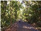6916 Tweed Valley Way, Stokers Siding NSW 2484