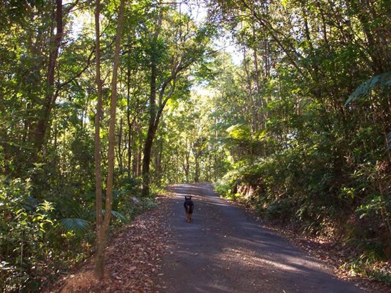 6916 Tweed Valley Way, Stokers Siding NSW 2484