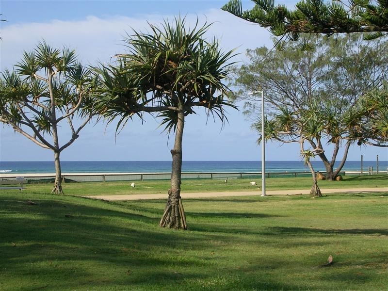 76 Musgrave Street, Kirra QLD 4225