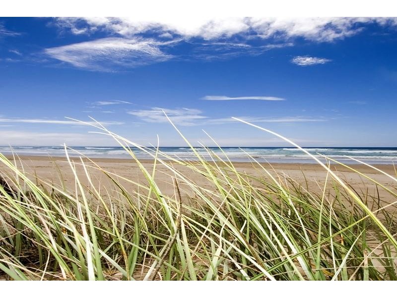 Lot 446 (No. 25 Avoca Street, Kingscliff NSW 2487