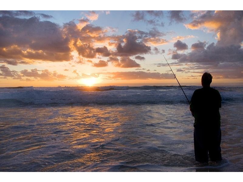 Lot 446 (No. 25 Avoca Street, Kingscliff NSW 2487