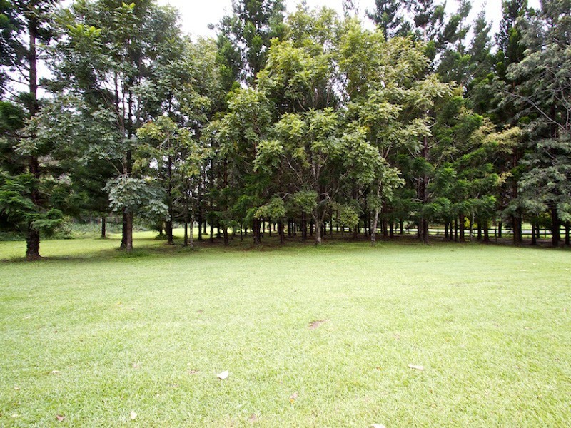 1110 Tallebudgera Creek Road, Tallebudgera Valley QLD 4228