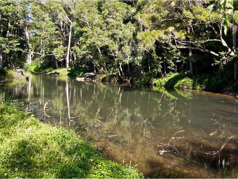 1110 Tallebudgera Creek Road, Tallebudgera Valley QLD 4228