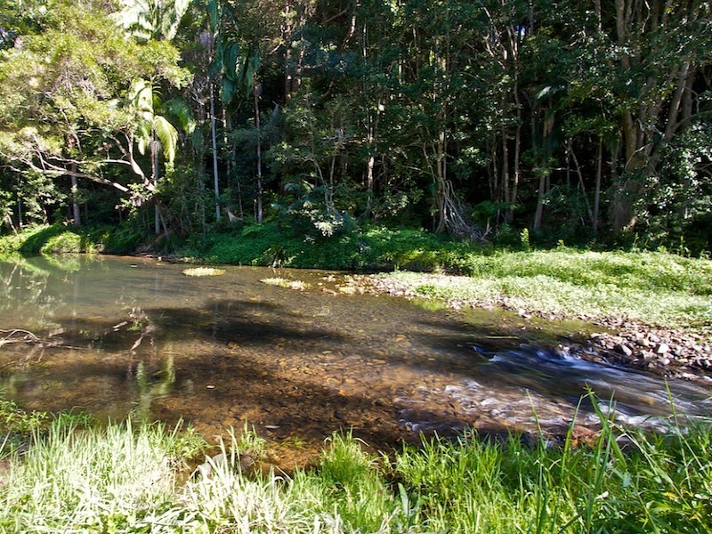 1110 Tallebudgera Creek Road, Tallebudgera Valley QLD 4228