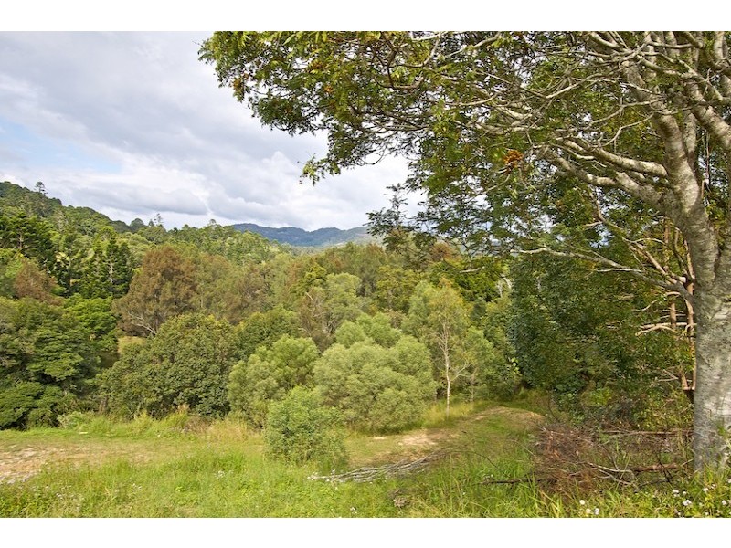 657 Tallebudgera Creek Road, Tallebudgera Valley QLD 4228