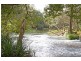 657 Tallebudgera Creek Road, Tallebudgera Valley QLD 4228
