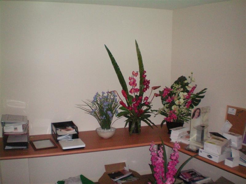 Coolangatta QLD 4225