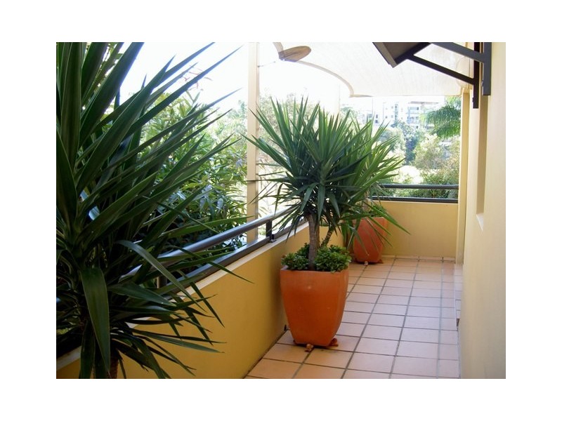 3/33 Dixon Street, Coolangatta QLD 4225