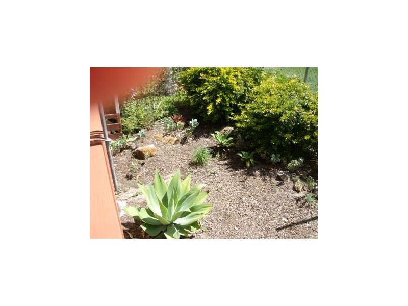 11 ‘The Palms Village’ 112 Dry Dock Road, Tweed Heads South NSW 2486