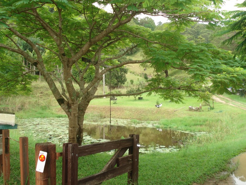 10 Moomba Crescent, Piggabeen NSW 2486