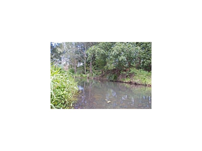 953 Tallebudgera Creek Road, Tallebudgera Valley QLD 4228