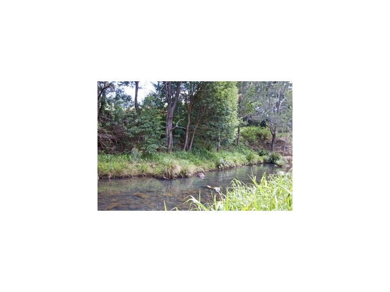 953 Tallebudgera Creek Road, Tallebudgera Valley QLD 4228
