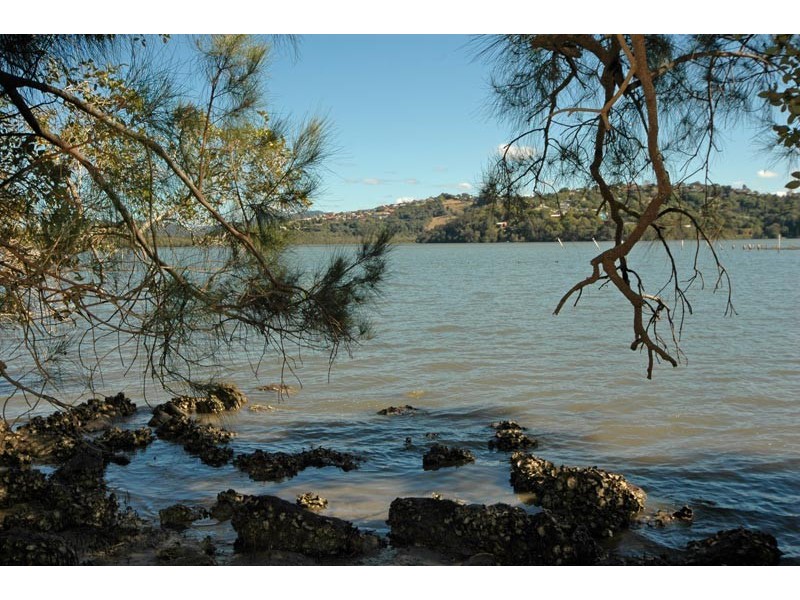 32 Daintree Close,, Banora Point NSW 2486