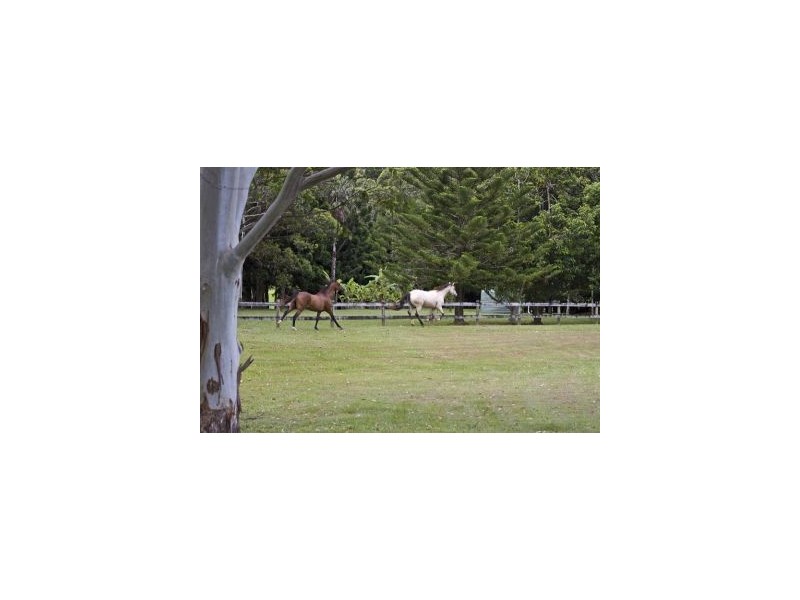 757 Tallebudgera Creek Road, Tallebudgera Valley QLD 4228