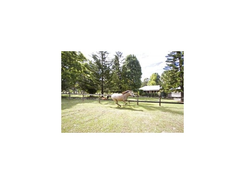 757 Tallebudgera Creek Road, Tallebudgera Valley QLD 4228