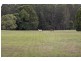 757 Tallebudgera Creek Road, Tallebudgera Valley QLD 4228