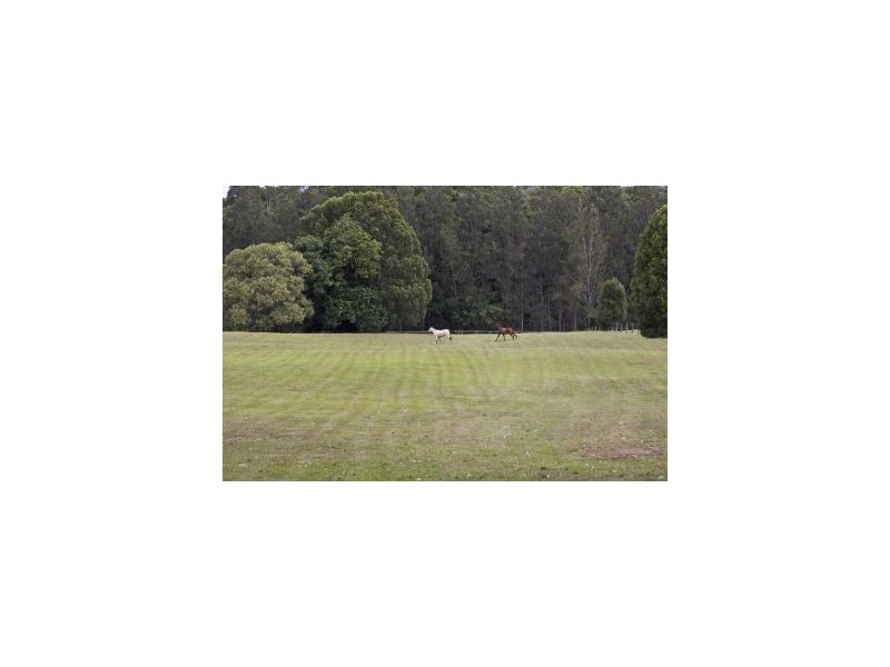 757 Tallebudgera Creek Road, Tallebudgera Valley QLD 4228