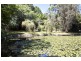 757 Tallebudgera Creek Road, Tallebudgera Valley QLD 4228