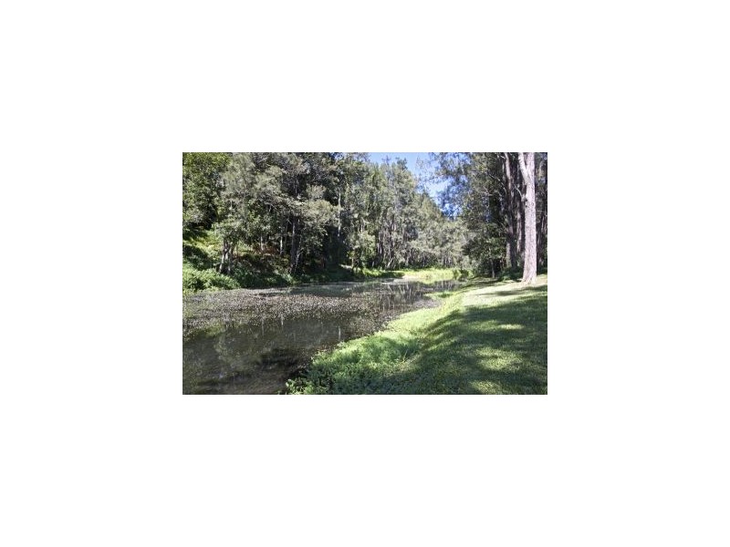 757 Tallebudgera Creek Road, Tallebudgera Valley QLD 4228