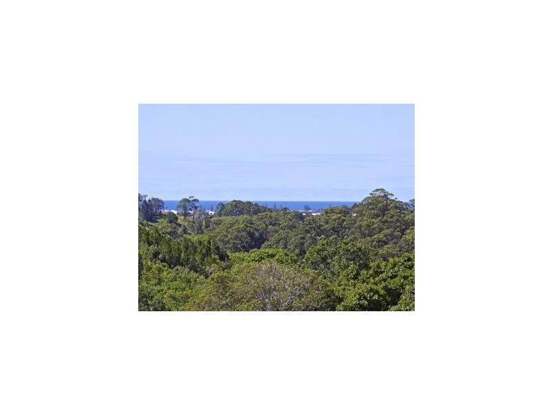 17 Malua Terrace, Bilambil Heights NSW 2486